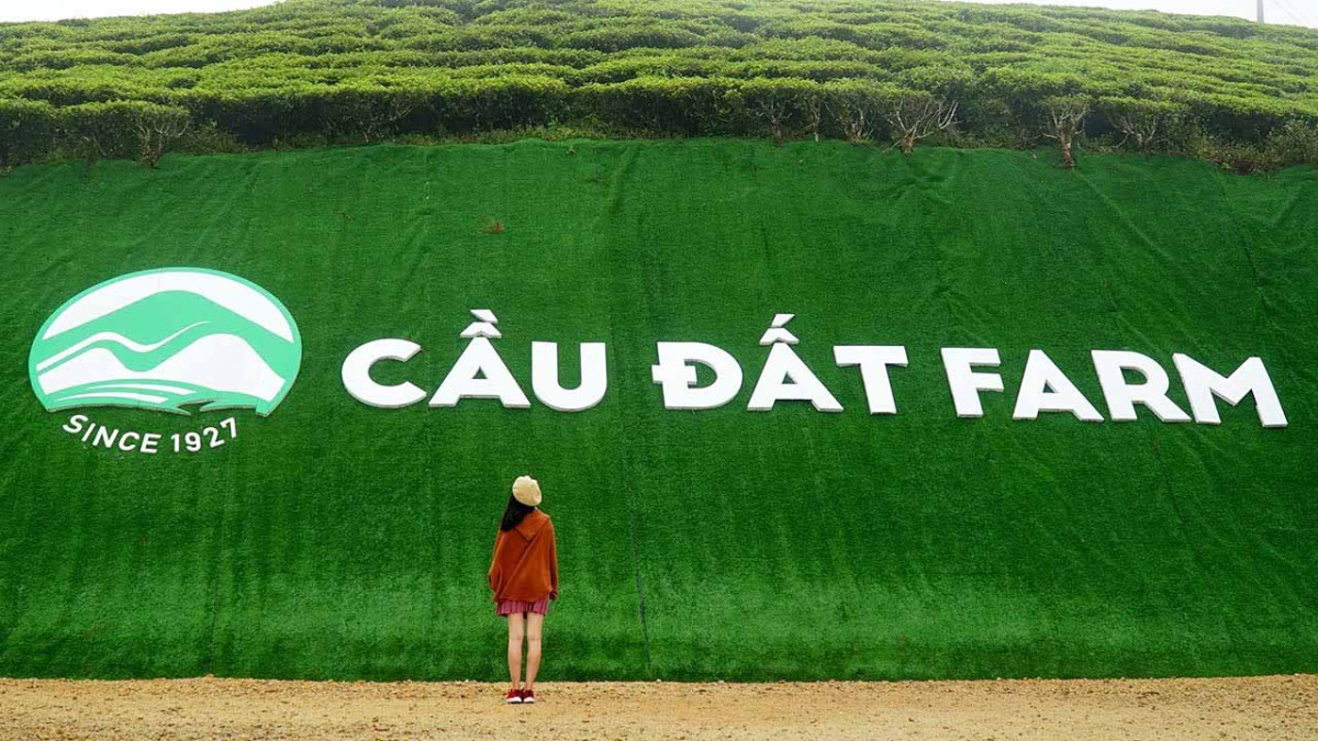 Vùng Sản Xuất Cầu Đất Đà Lạt