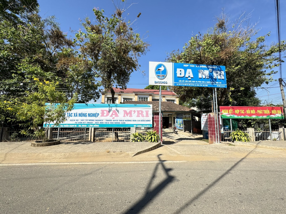 Vùng trồng sầu riêng Đạ M’Ri