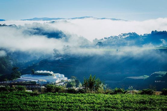 Vùng sản xuất cafe Cầu Đất, Lâm Đồng